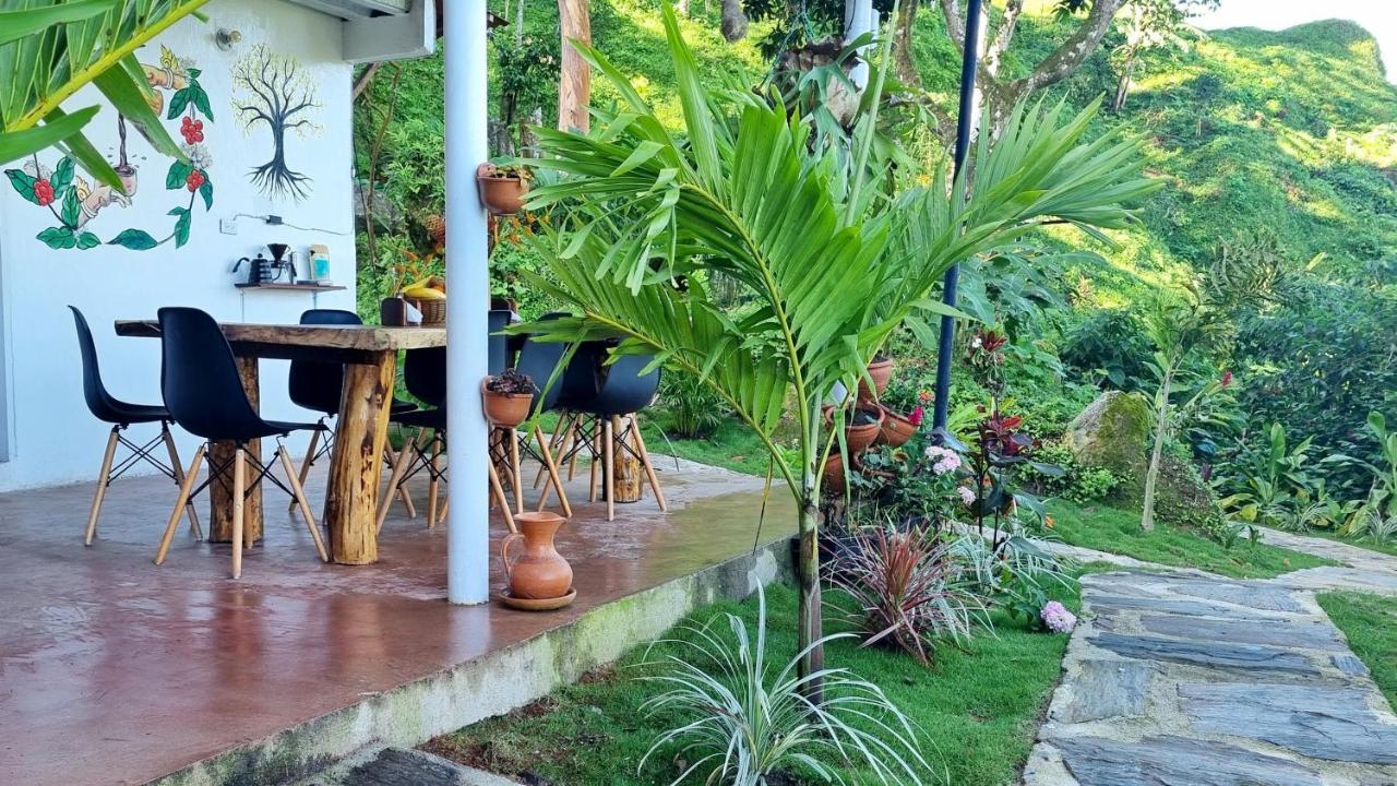 Minca Sintropia - Sustainable Lodge & Organic Coffee Finca Exteriör bild