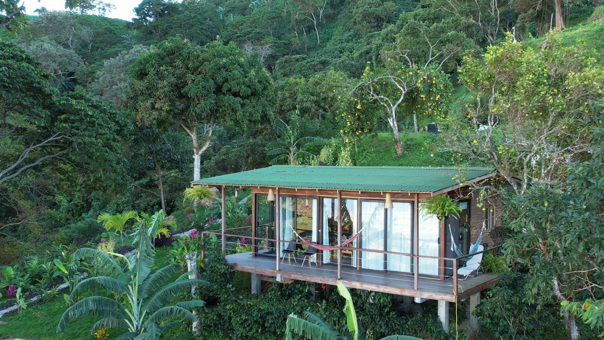 Minca Sintropia - Sustainable Lodge & Organic Coffee Finca Exteriör bild
