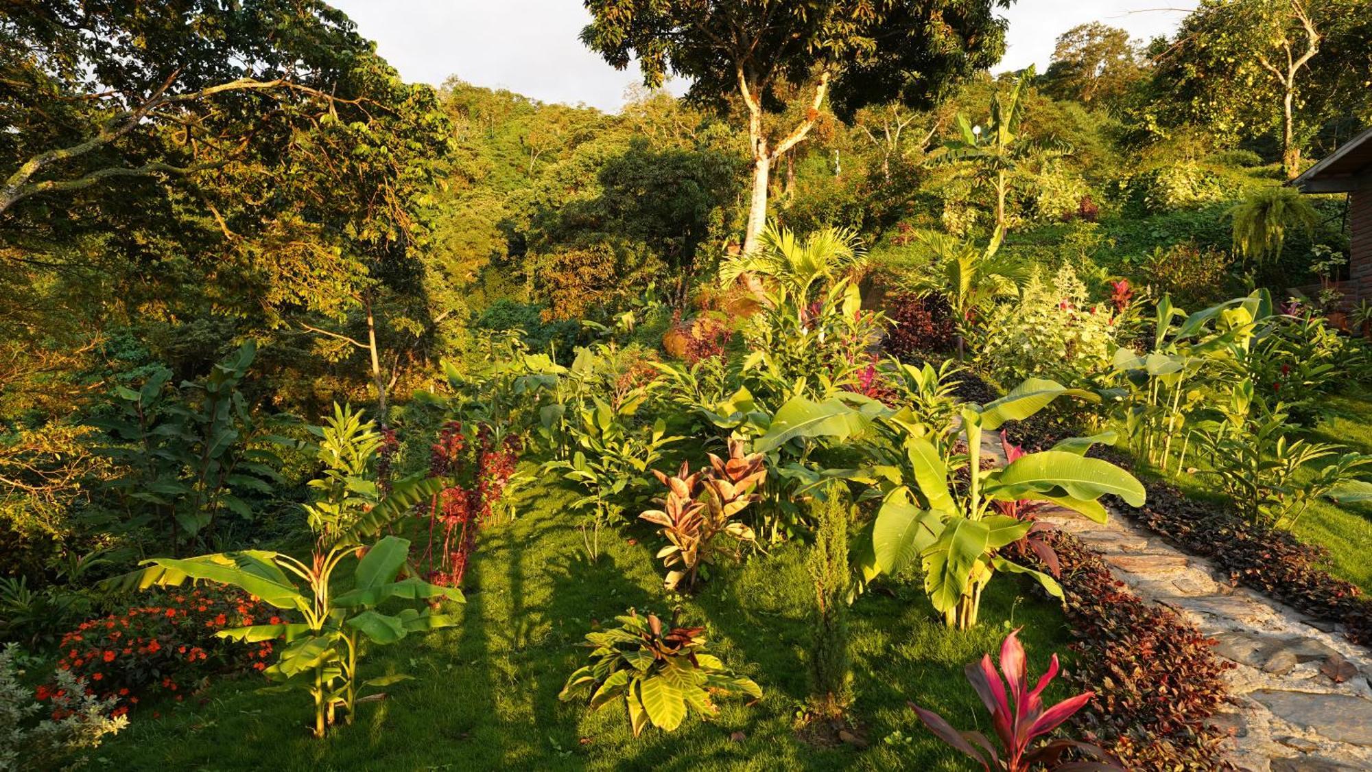 Minca Sintropia - Sustainable Lodge & Organic Coffee Finca Exteriör bild