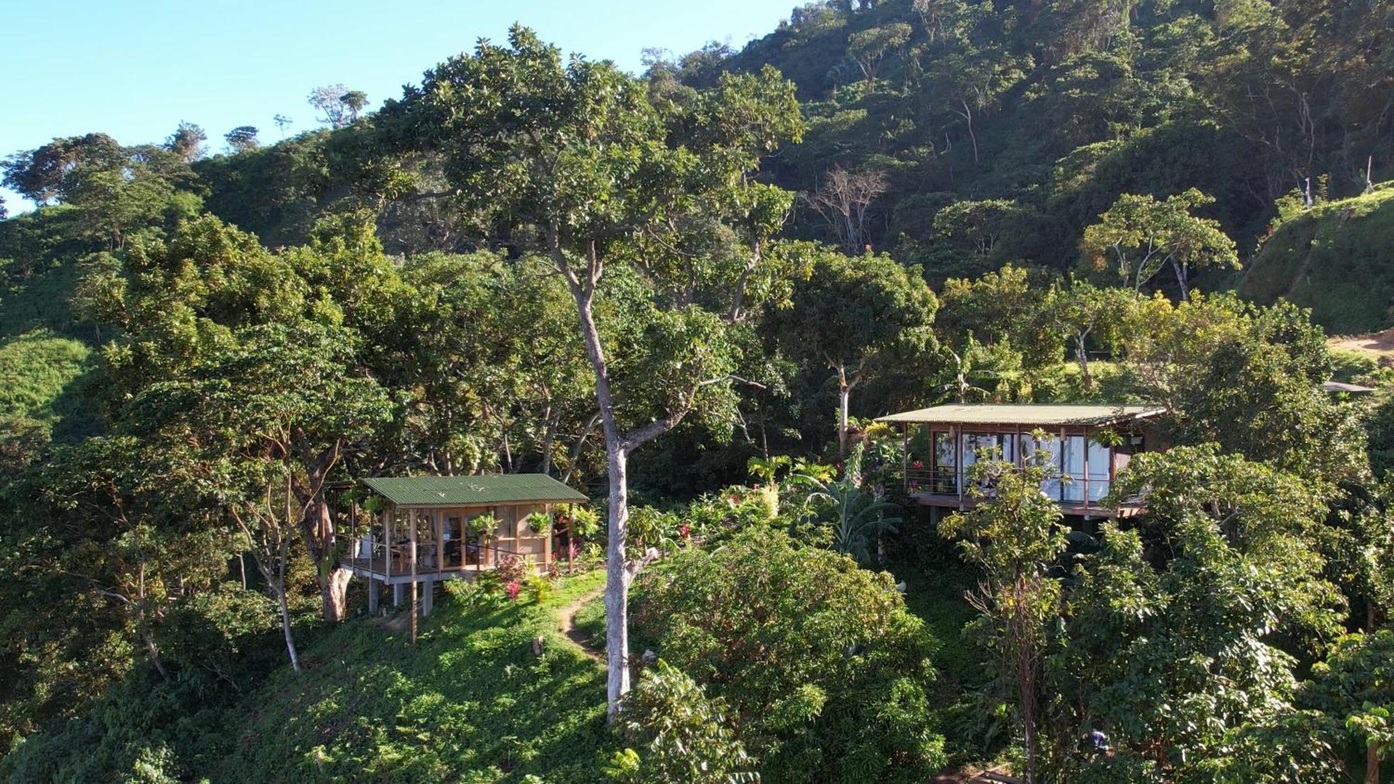 Minca Sintropia - Sustainable Lodge & Organic Coffee Finca Exteriör bild