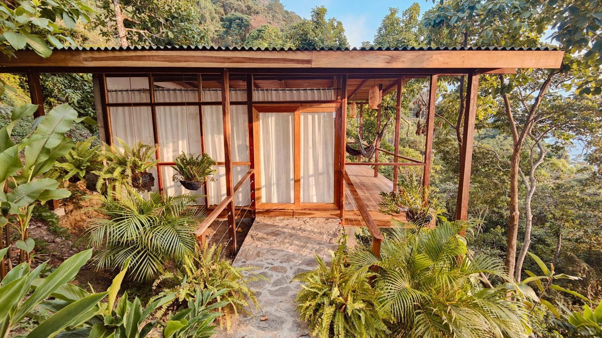 Minca Sintropia - Sustainable Lodge & Organic Coffee Finca Rum bild