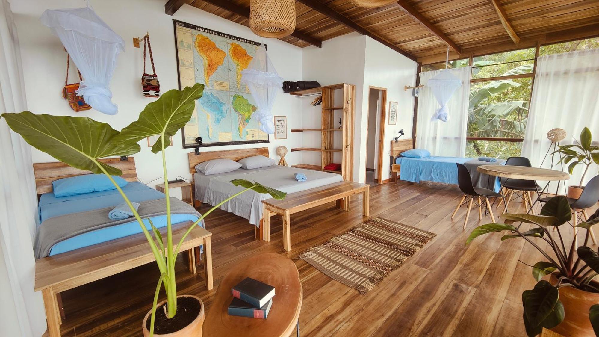 Minca Sintropia - Sustainable Lodge & Organic Coffee Finca Exteriör bild