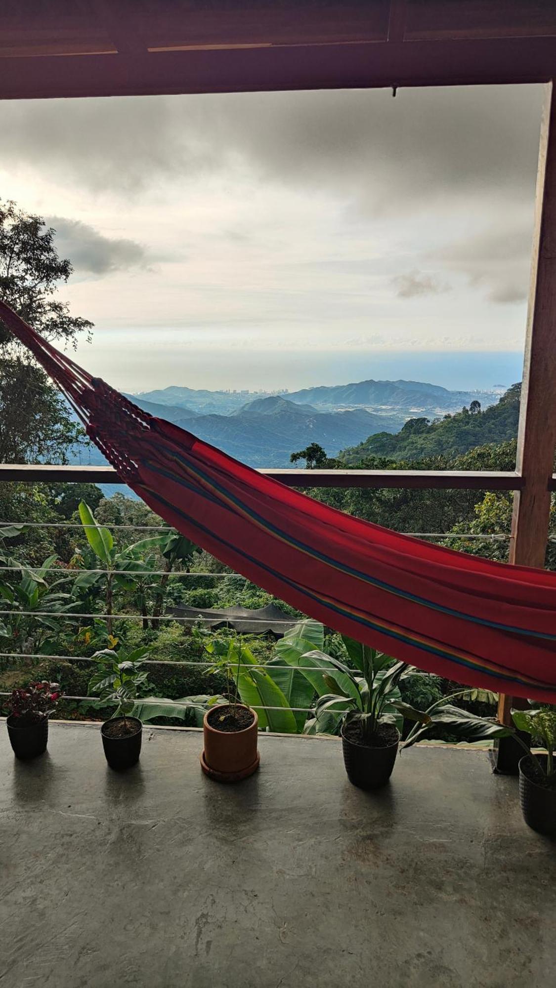 Minca Sintropia - Sustainable Lodge & Organic Coffee Finca Rum bild
