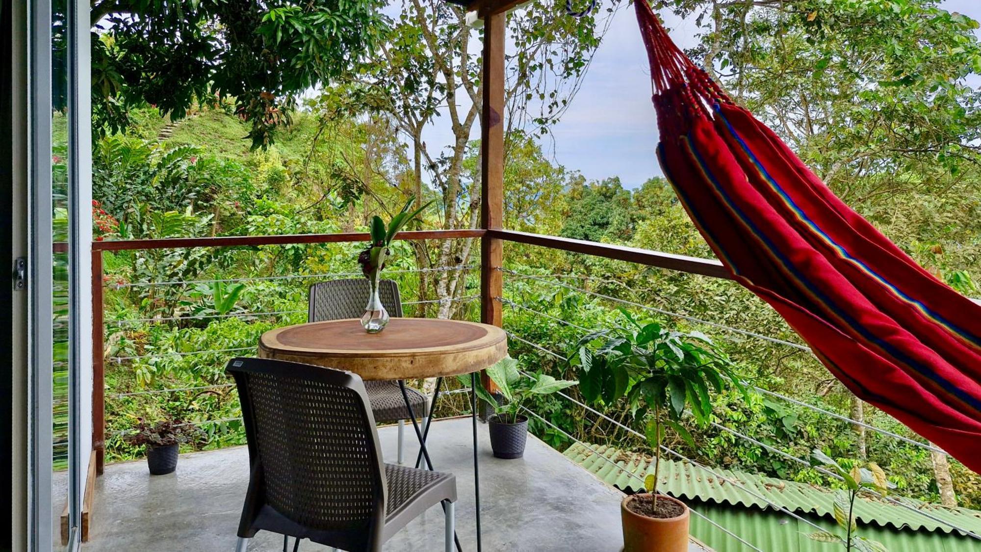 Minca Sintropia - Sustainable Lodge & Organic Coffee Finca Rum bild