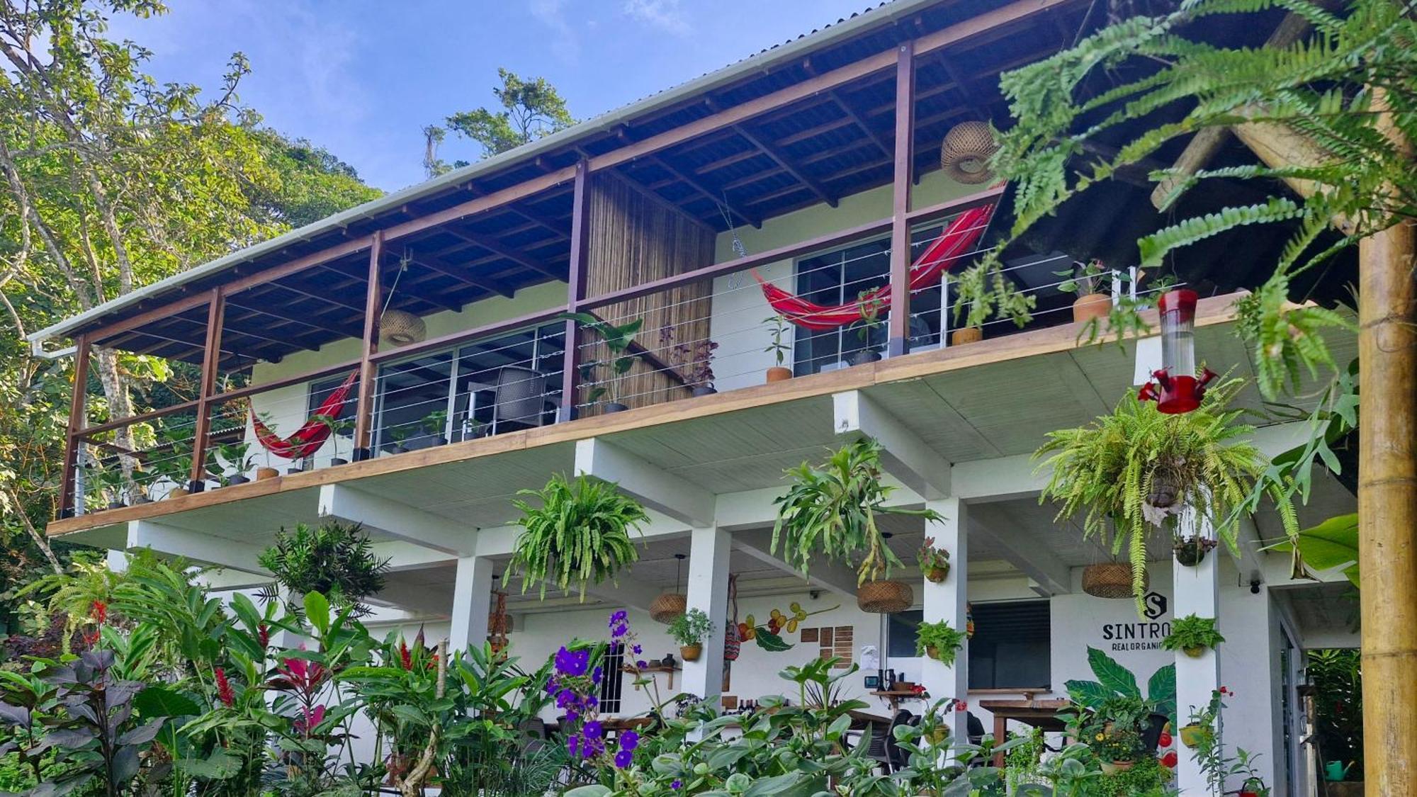 Minca Sintropia - Sustainable Lodge & Organic Coffee Finca Rum bild