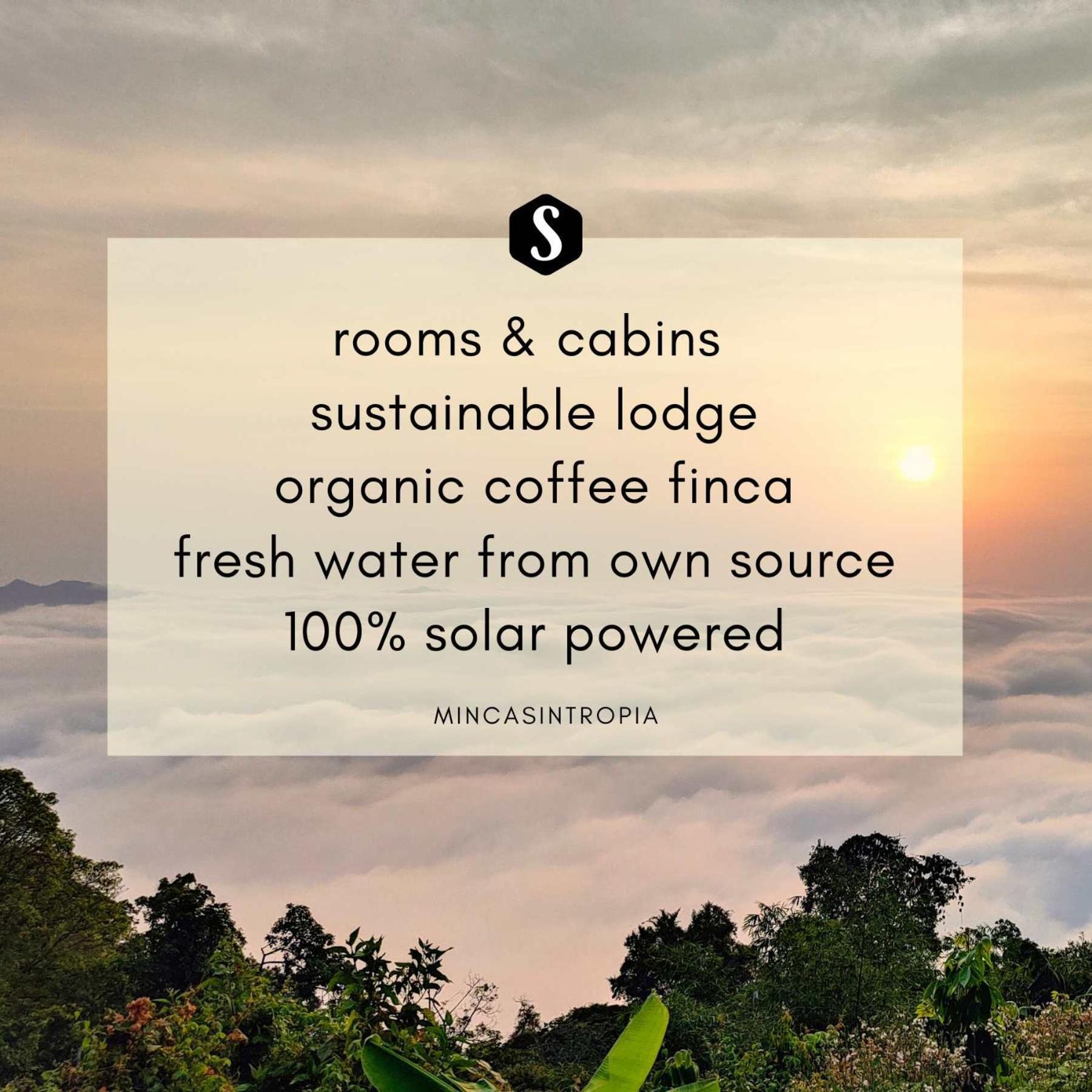 Minca Sintropia - Sustainable Lodge & Organic Coffee Finca Exteriör bild